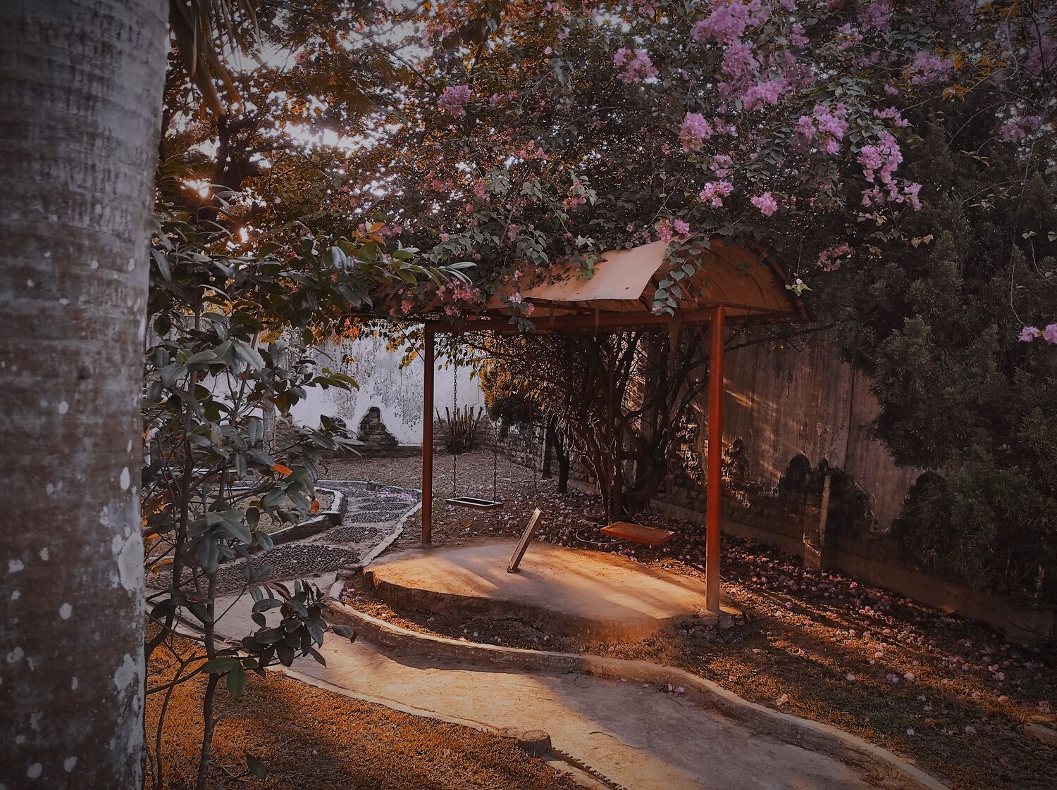 Photo #6174176