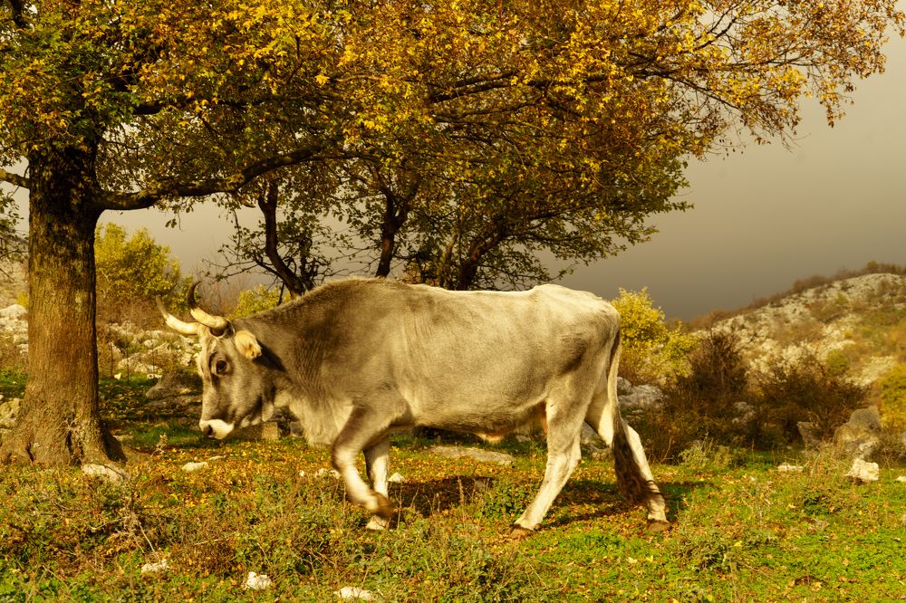 Фотография автора Нина Кулишова