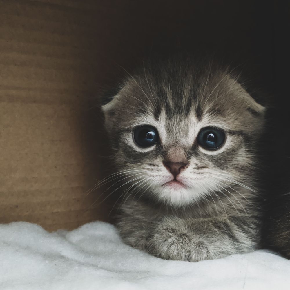 Photograph by Ишниязов Марсель