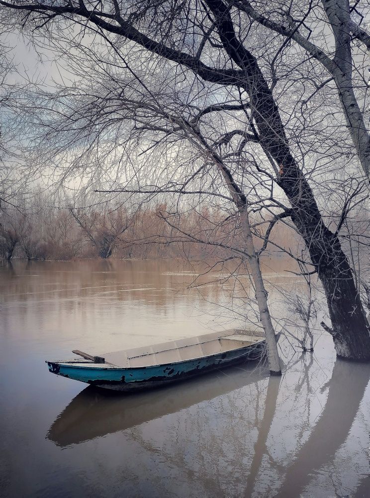 Photograph by Snezana Boskovic