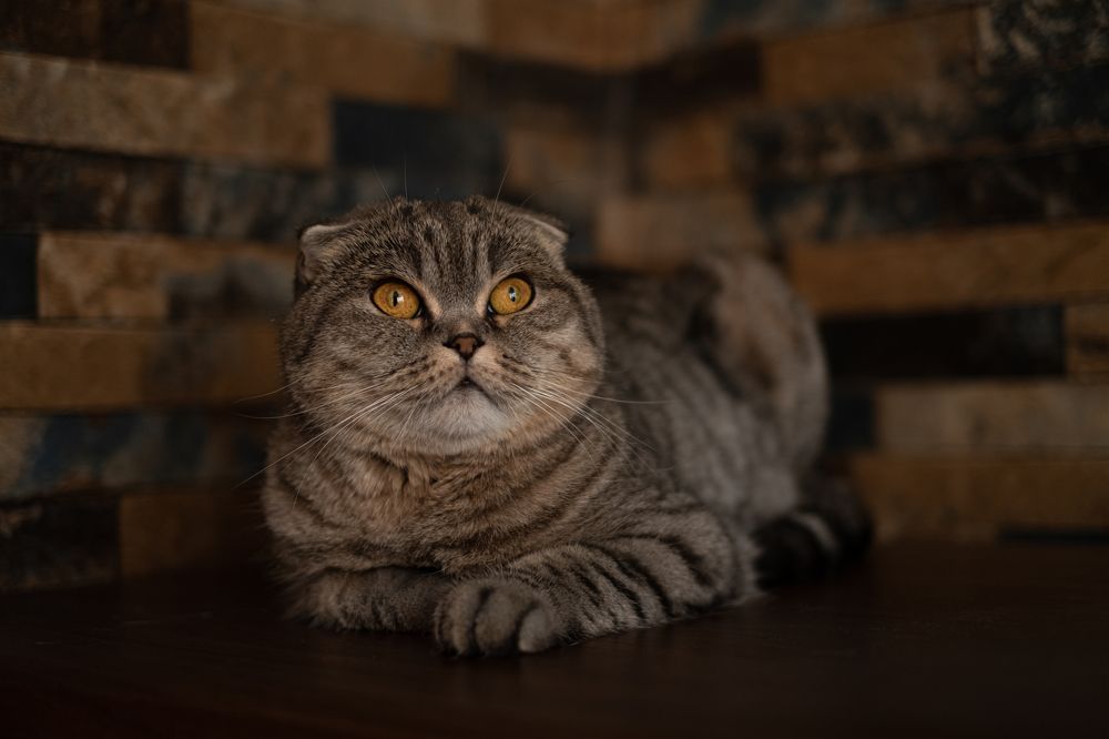 Photograph by Наталья Зацеркляная