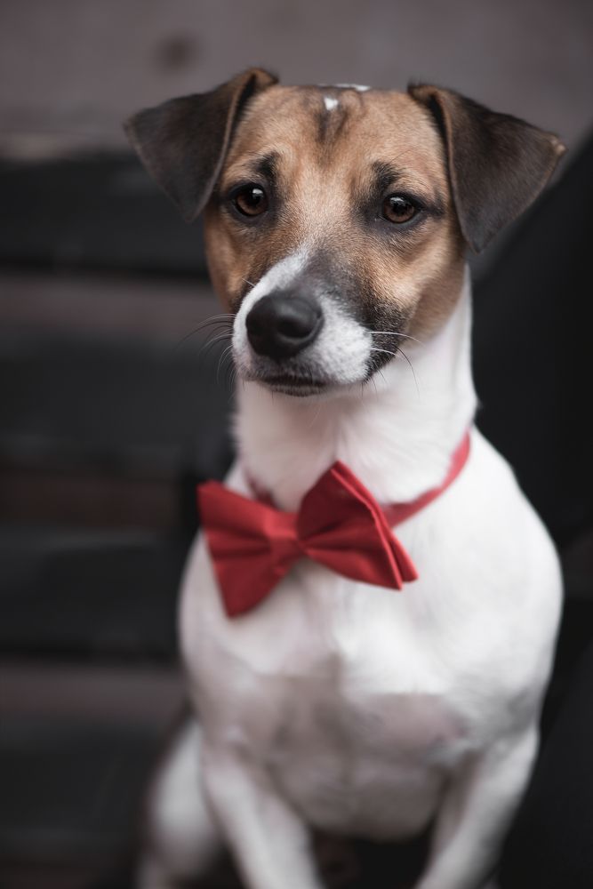 Photograph by Алена Масловская