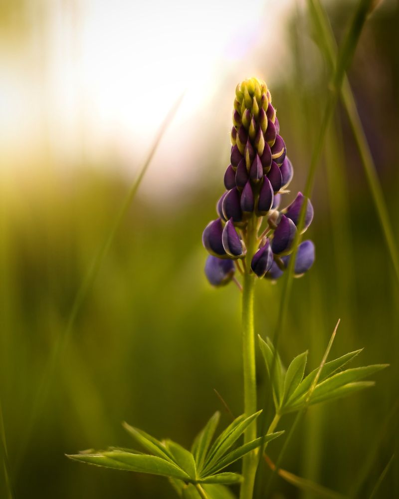 Photograph by Екатерина Ушакова