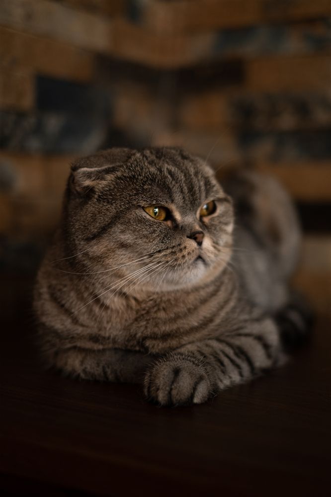 Photograph by Наталья Зацеркляная