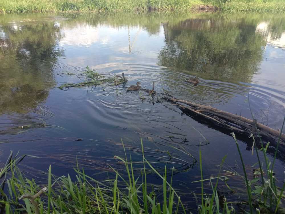 Photograph by Вячеслав Чирин