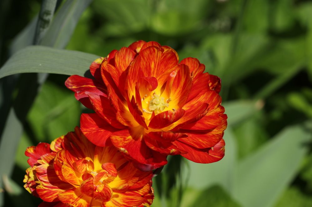 Photograph by Александр Николаев