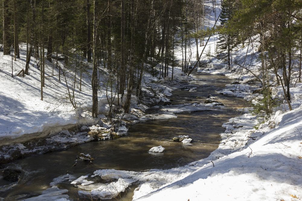 Photograph by Anna Gapanovich