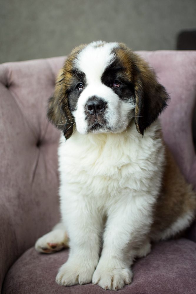 Photograph by Юлия Субботина