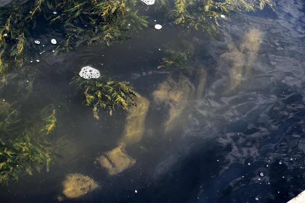 Photograph by Владимир Воложинский