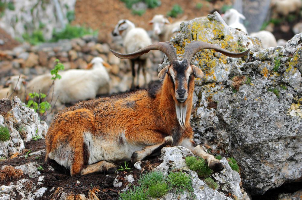 Фотография автора Marat Magov