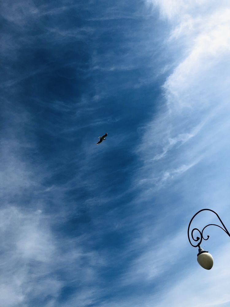 Фотография автора Зоя Малхова