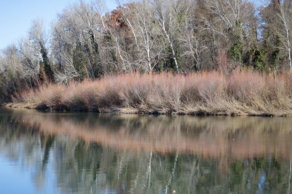 Photograph by Santiago Mata