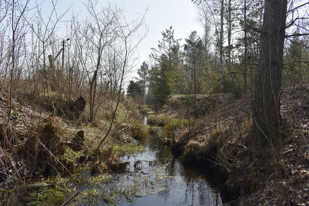 Photograph by Владимир Воложинский