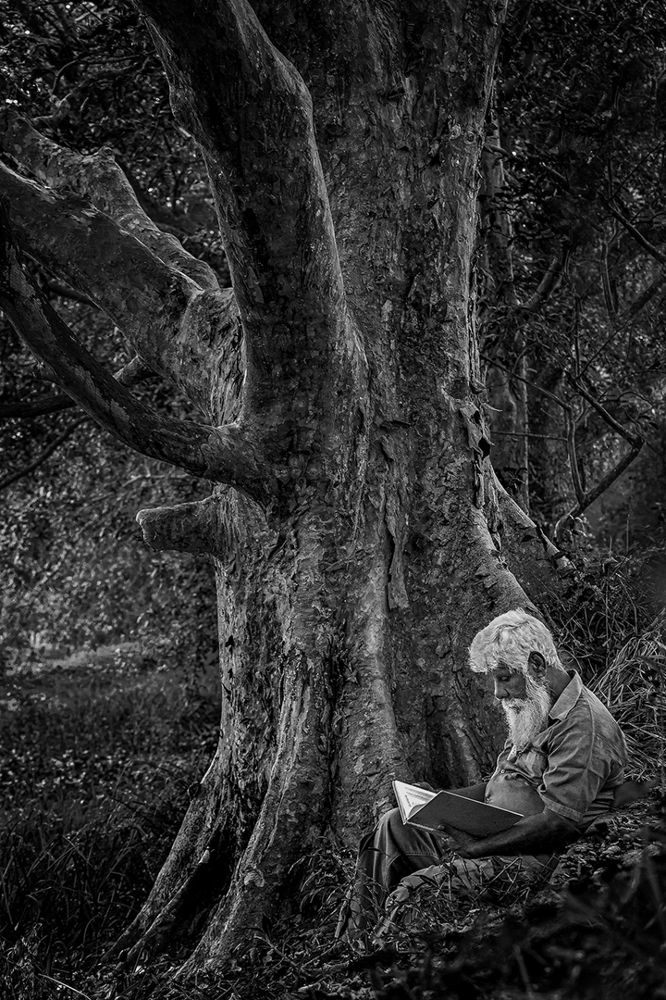 Photograph by Saliya Jayasekara