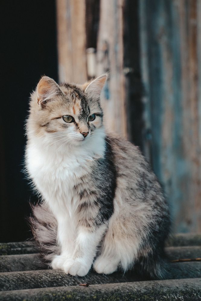Photograph by Мартынова Татьяна