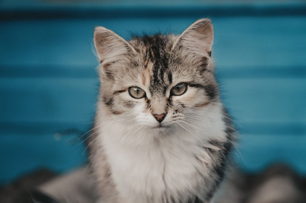 Photograph by Мартынова Татьяна