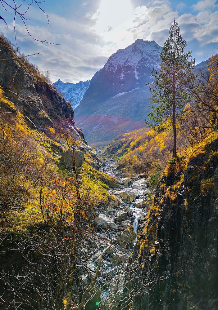 Фотография автора Кривенко Владимир