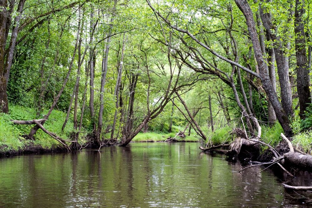 Photograph by Максим Ушаков