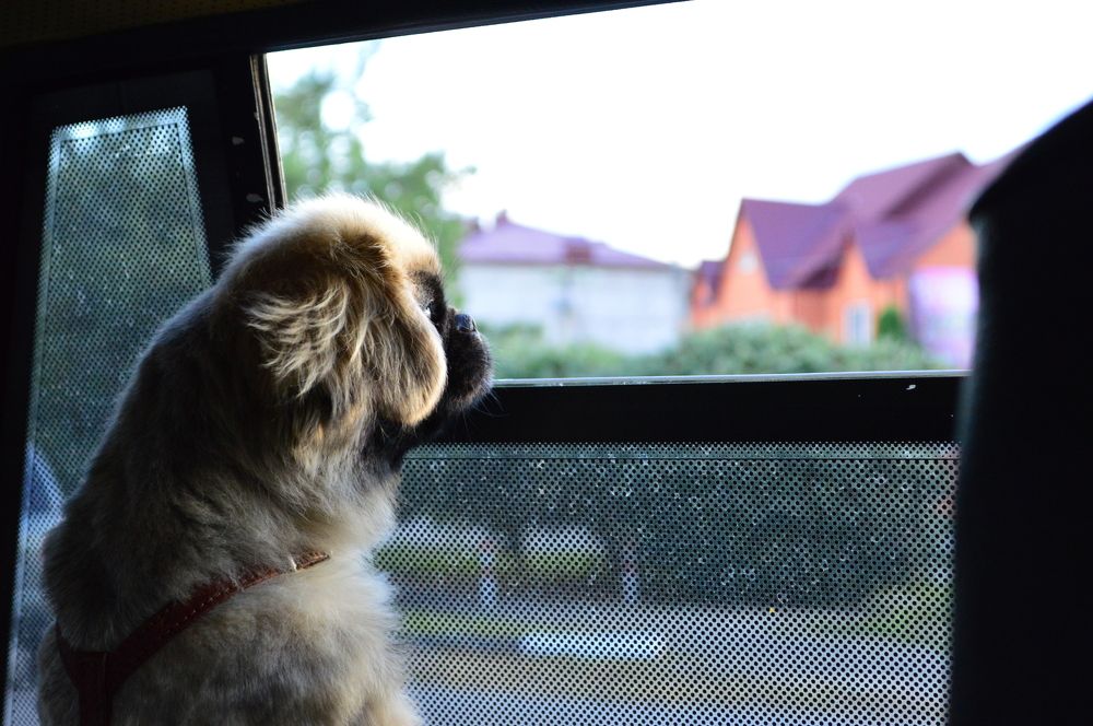 Photograph by Дарья Беляк