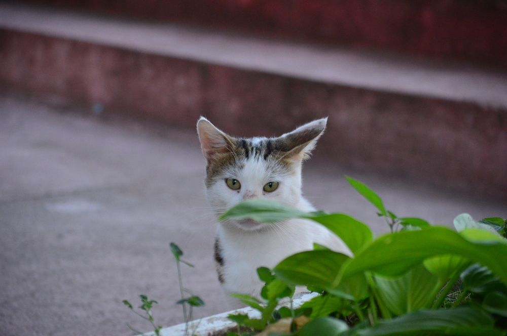 Photograph by Дарья Беляк