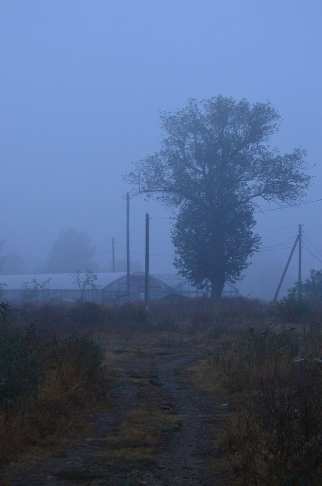 Photograph by Дарья Беляк