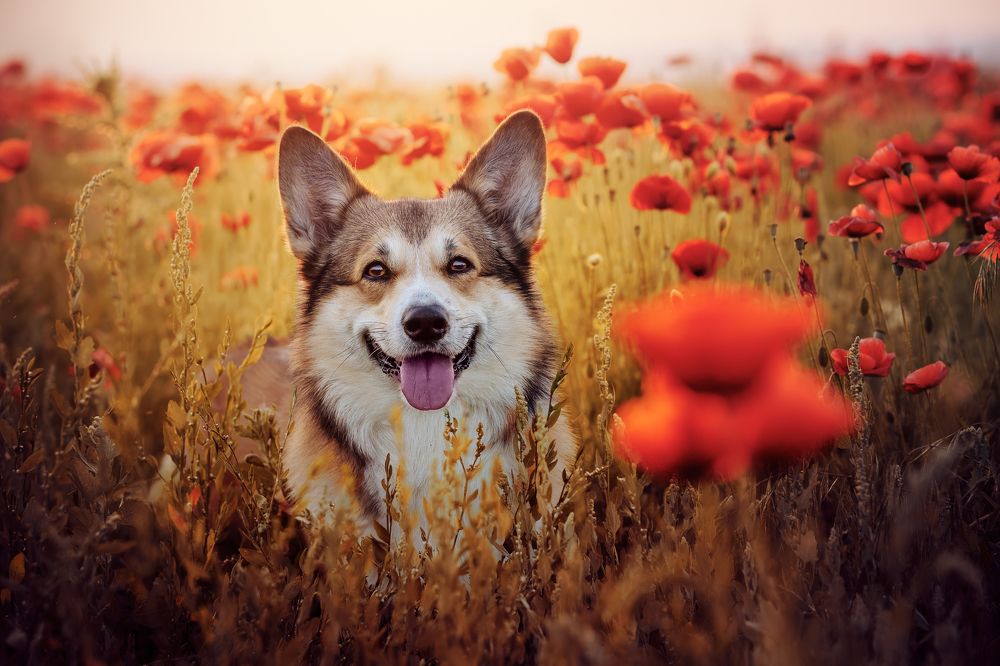 Photograph by Katarína Franková