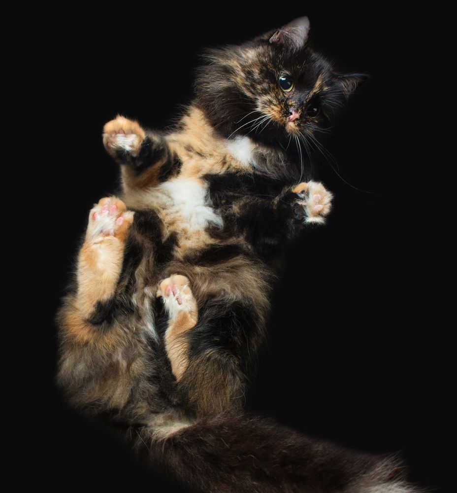 Photograph by fashionfoodfoto