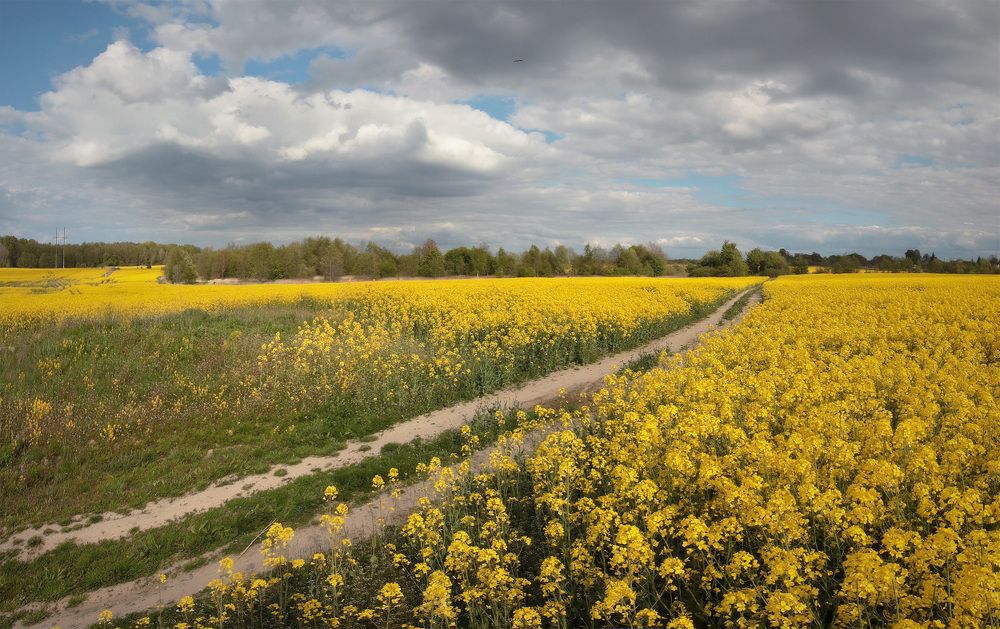 Photograph by Владимир Петрукович