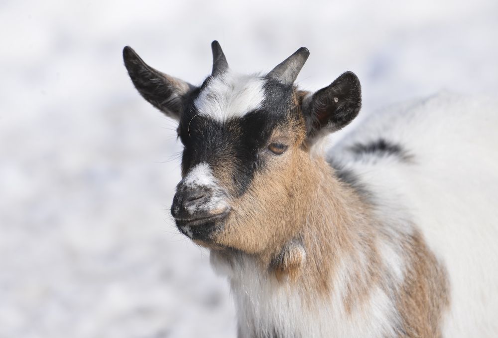 Photograph by Ольга Мендоса