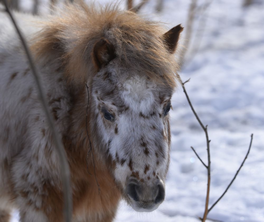 Photograph by Ольга Мендоса