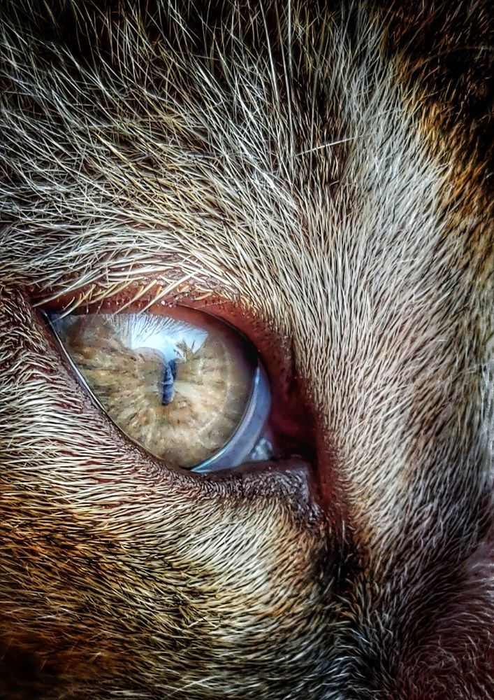 Photograph by Rounak hazra