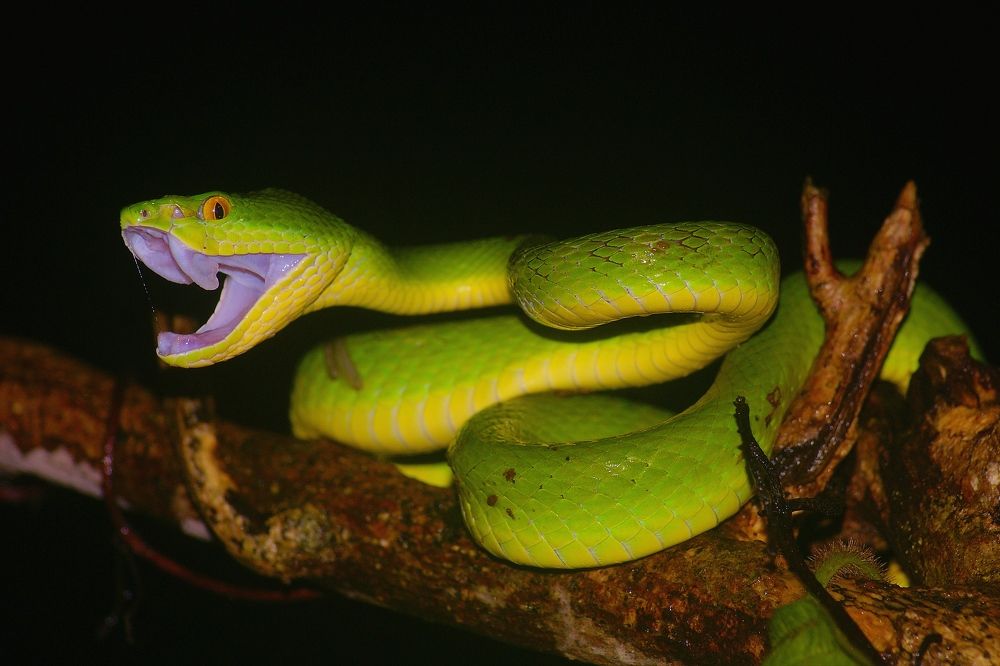 Photograph by Muhammad Imam R