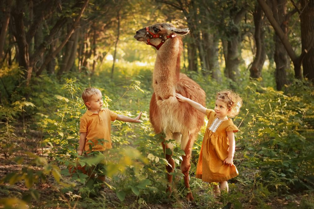 Photograph by Анастасия Мещерякова