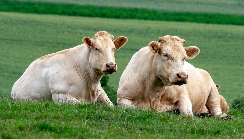 Фотография автора Людмила Прокофьева