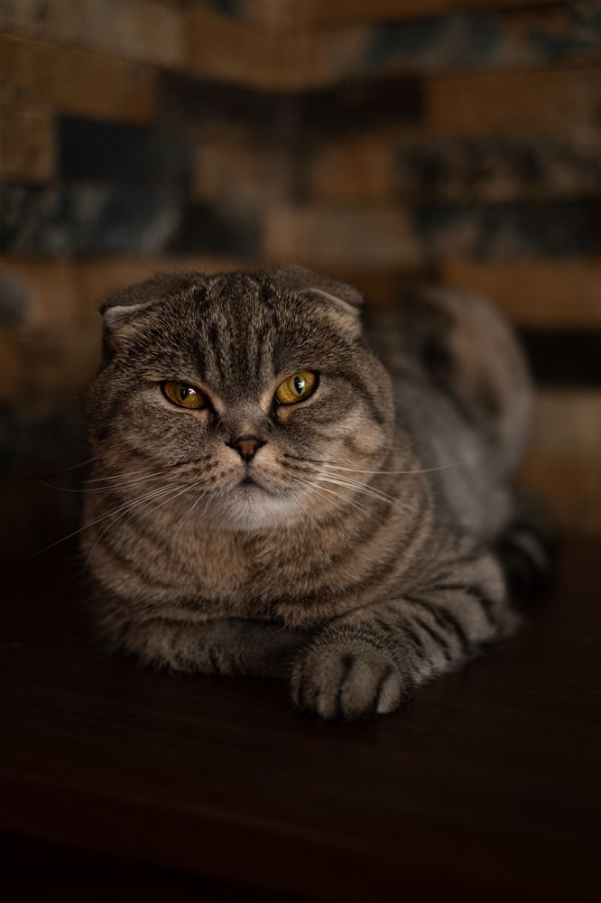 Photograph by Наталья Зацеркляная