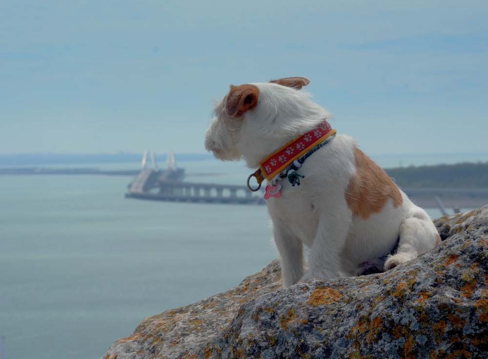 Photograph by Марина Адамковская