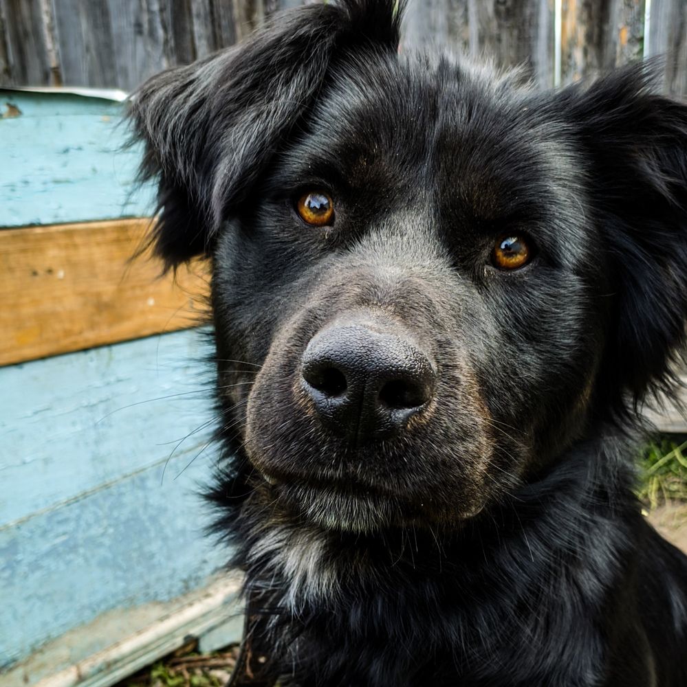 Photograph by Ишниязов Марсель