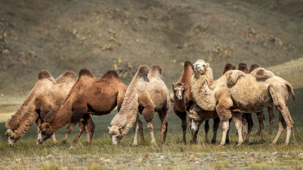 Photograph by Константин Леонтьев