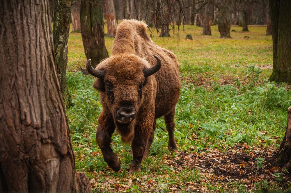 Фотография автора Екатерина Полякова