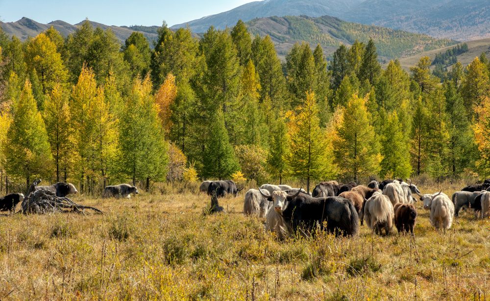 Photograph by Константин Леонтьев