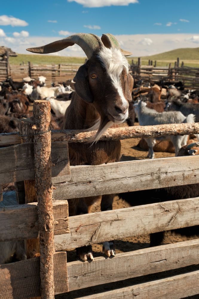 Photograph by Константин Леонтьев