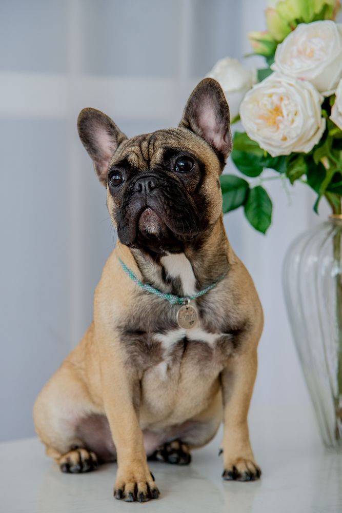 Photograph by Анна Сизова