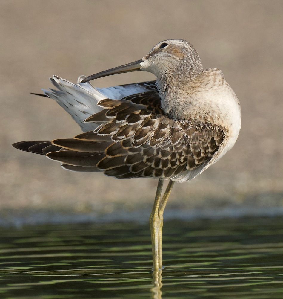 Photograph by Linda Olsen