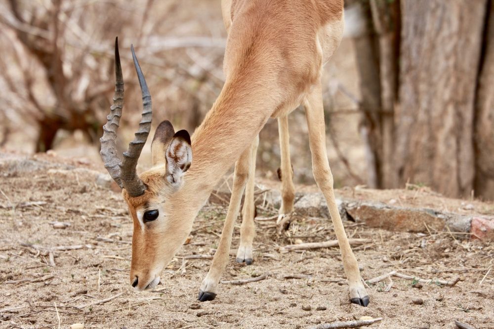 Photograph by Наталья Пирогова