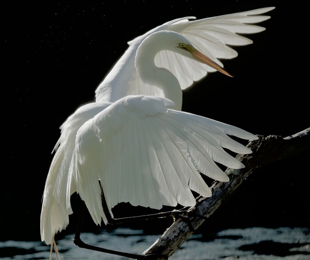 Photograph by Linda Olsen