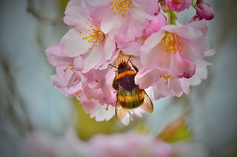 Photograph by Jaroslav Sameš