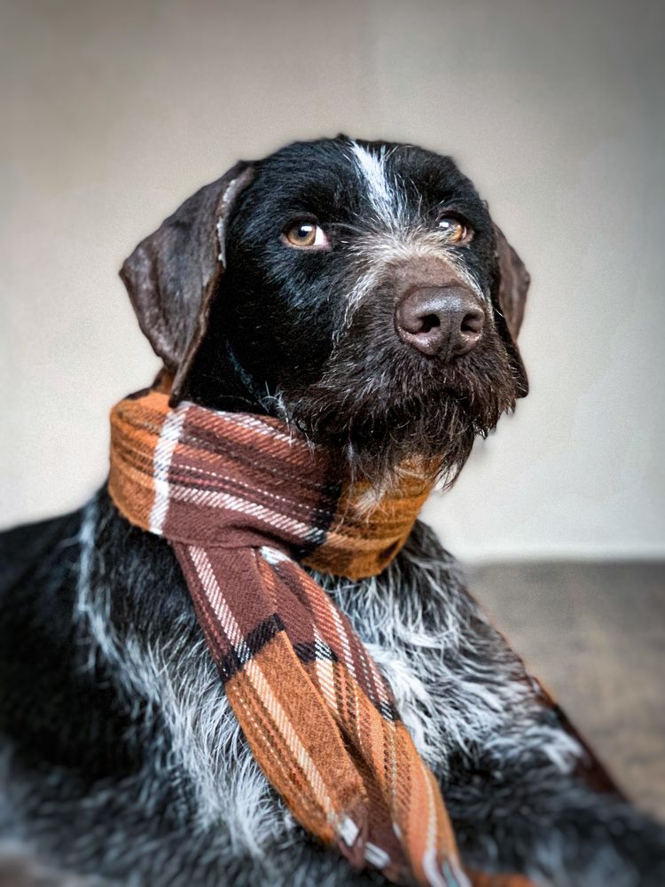 Photograph by Анна Адаменко