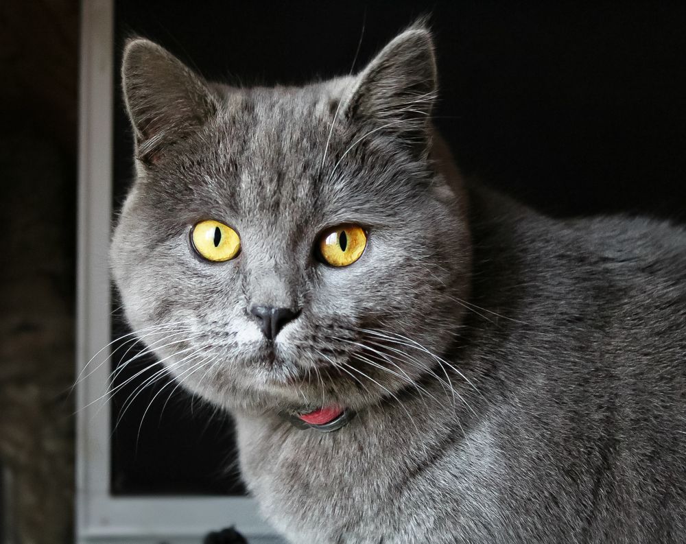 Photograph by Татьяна Слободчикова