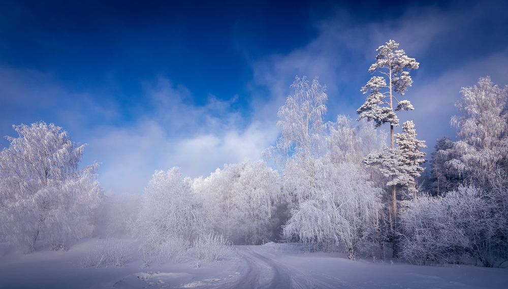 Фотография автора Александр Рудный