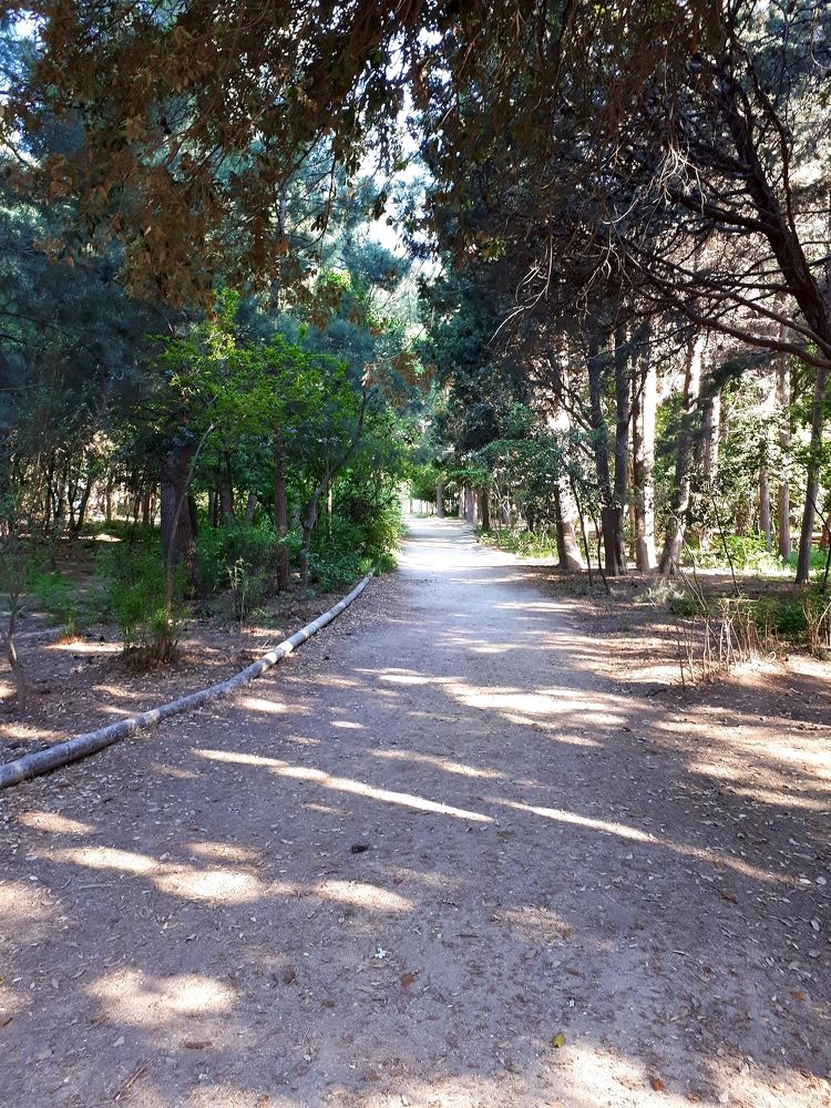 Photograph by Ulviyya Kamalzade